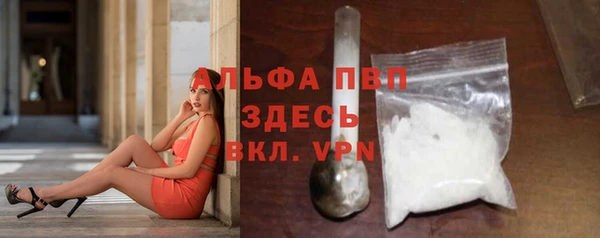 стаф Белокуриха