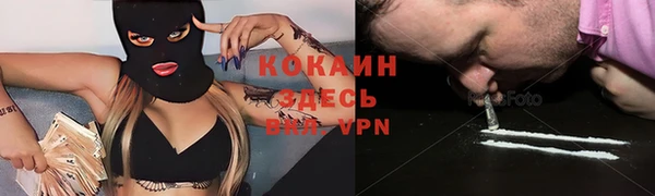 стаф Белокуриха
