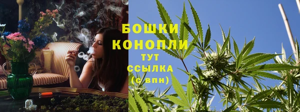 стаф Белокуриха