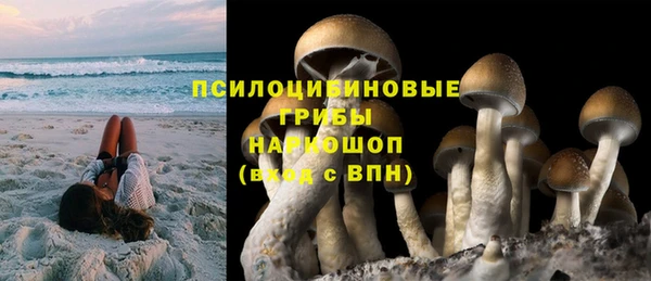 стаф Белокуриха