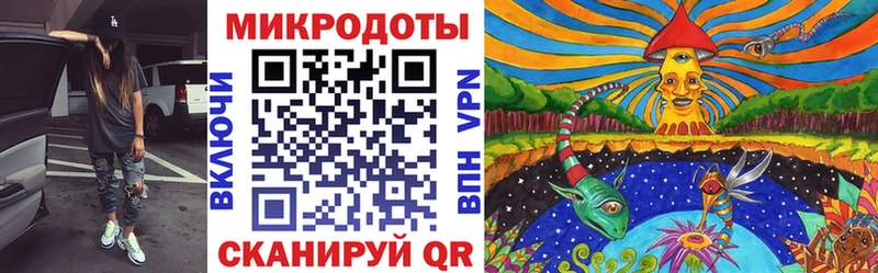 Галлюциногенные грибы Psilocybine cubensis Кирсанов